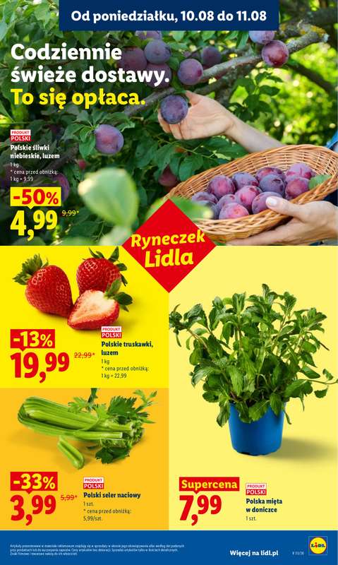 Lidl - gazetka promocyjna Oferta od poniedziałku od poniedziałku 10.08 do wtorku 11.08 - strona 43