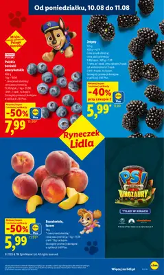 Lidl - gazetka promocyjna Oferta od poniedziałku od poniedziałku 10.08 do wtorku 11.08 - strona 45