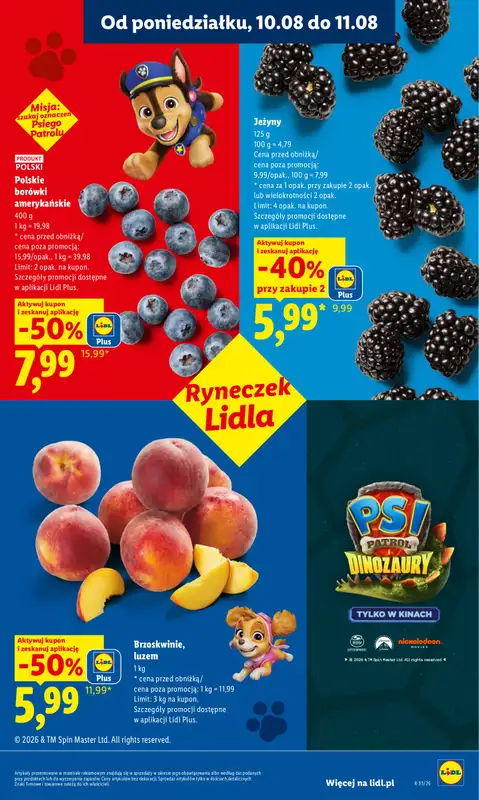 Lidl - gazetka promocyjna Oferta od poniedziałku od poniedziałku 10.08 do wtorku 11.08 - strona 45