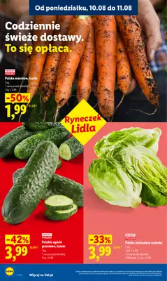 Lidl - gazetka promocyjna Oferta od poniedziałku od poniedziałku 10.08 do wtorku 11.08 - strona 42
