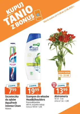 Leclerc - gazetka promocyjna Kupuj tanio z bonus od wtorku 11.08 do soboty 22.08 - strona 3