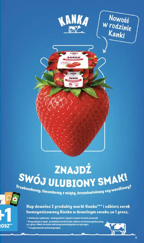 Delikatesy Centrum - gazetka promocyjna Gazetka  do środy 19.08 - strona 5