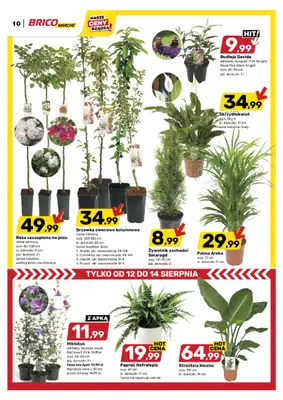 Bricomarche - gazetka promocyjna Gazetka od środy 12.08 do soboty 22.08 - strona 11