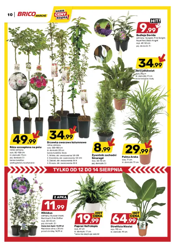 Bricomarche - gazetka promocyjna Gazetka od środy 12.08 do soboty 22.08 - strona 11