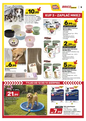 Bricomarche - gazetka promocyjna Gazetka od środy 12.08 do soboty 22.08 - strona 10