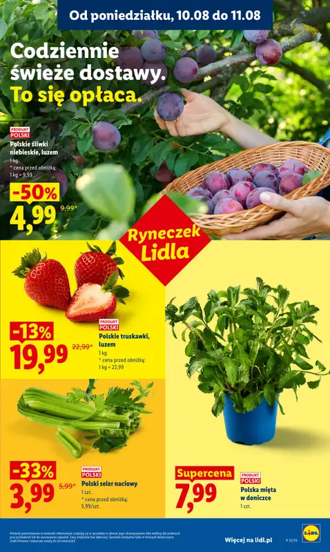 Lidl - gazetka promocyjna Oferta od poniedziałku od poniedziałku 10.08 do wtorku 11.08 - strona 43