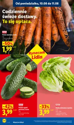 Lidl - gazetka promocyjna Oferta od poniedziałku od poniedziałku 10.08 do wtorku 11.08 - strona 42