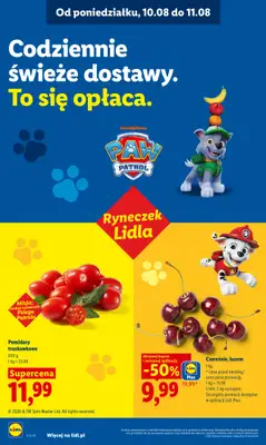Lidl - gazetka promocyjna Oferta od poniedziałku od poniedziałku 10.08 do wtorku 11.08 - strona 44
