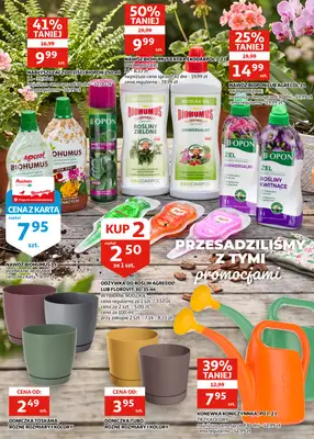 Auchan - gazetka promocyjna Gazetka Racibórz I Sezon na promocje trwa!  do wtorku 25.08 - strona 21