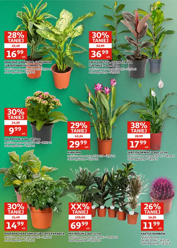 Auchan - gazetka promocyjna Gazetka Zielona Góra I Sezon na promocje trwa!  do wtorku 25.08 - strona 20