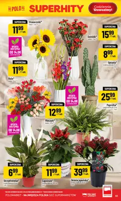 POLOmarket - gazetka promocyjna Gazetka od środy 12.08 do wtorku 18.08 - strona 65