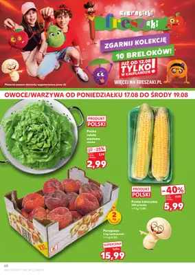 Kaufland - gazetka promocyjna Gazetka Tygodnia od środy 12.08 do środy 19.08 - strona 60