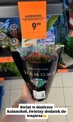 Biedronka - gazetka promocyjna Zakupowe Inspiracje w Biedronce od wtorku 11.08  - strona 7