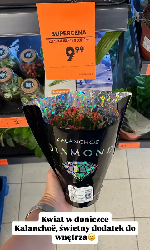 Biedronka - gazetka promocyjna Zakupowe Inspiracje w Biedronce od wtorku 11.08  - strona 7