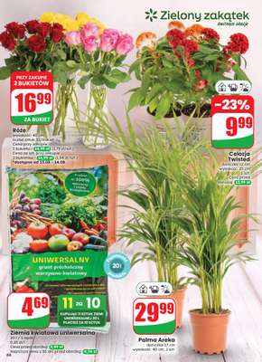 Dino - gazetka promocyjna Gazetka 33 / 2026 od środy 12.08 do wtorku 18.08 - strona 66