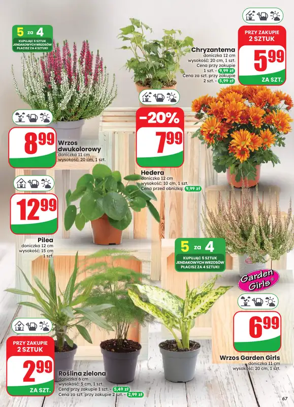 Dino - gazetka promocyjna Gazetka 33 / 2026 od środy 12.08 do wtorku 18.08 - strona 67