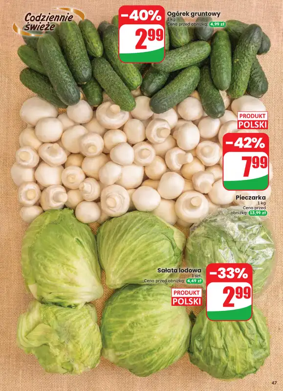 Dino - gazetka promocyjna Gazetka 33 / 2026 od środy 12.08 do wtorku 18.08 - strona 47
