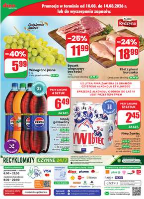 Dino - gazetka promocyjna Gazetka 33 / 2026 od środy 12.08 do wtorku 18.08 - strona 85