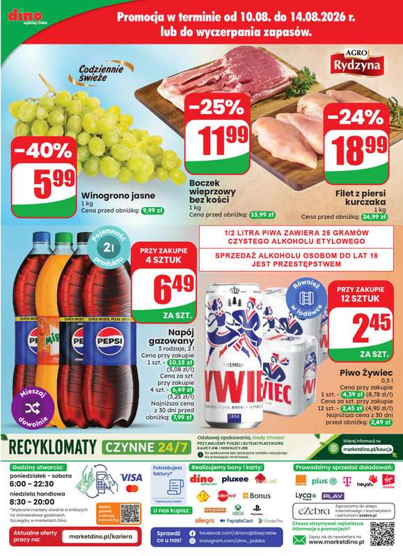 Dino - gazetka promocyjna Gazetka 33 / 2026 od środy 12.08 do wtorku 18.08 - strona 85