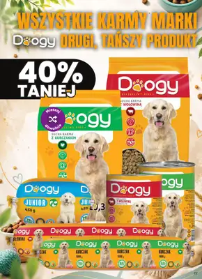 Dino - gazetka promocyjna Gazetka 33 / 2026 od środy 12.08 do wtorku 18.08 - strona 77