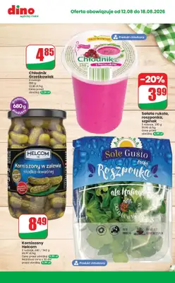 Dino - gazetka promocyjna Najlepsze promocje! od środy 12.08 do wtorku 18.08 - strona 10