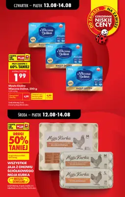 Biedronka - gazetka promocyjna Od środy od środy 12.08 do wtorku 18.08 - strona 13