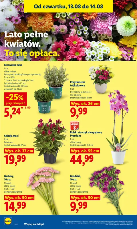 Lidl - gazetka promocyjna Gazetka Ważna Od 12.08 Do 14.08 od środy 12.08 do piątku 14.08 - strona 88