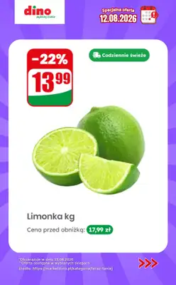 Dino - gazetka promocyjna Specjalna oferta na 12.08.2026 - promocje spoza gazetki od środy 12.08 do środy 12.08 - strona 10