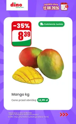 Dino - gazetka promocyjna Specjalna oferta na 12.08.2026 - promocje spoza gazetki od środy 12.08 do środy 12.08 - strona 5