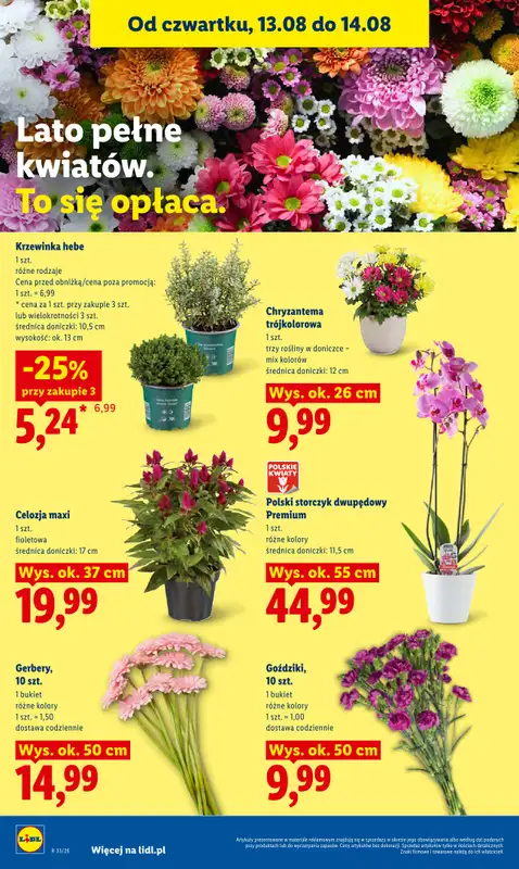 Lidl - gazetka promocyjna Gazetka Ważna Od 12.08 Do 14.08 od środy 12.08 do piątku 14.08 - strona 88