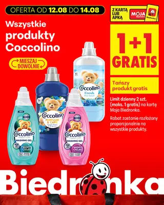 Biedronka - gazetka promocyjna Biedronkowe oszczędności od środy od środy 12.08 do piątku 14.08 - strona 17