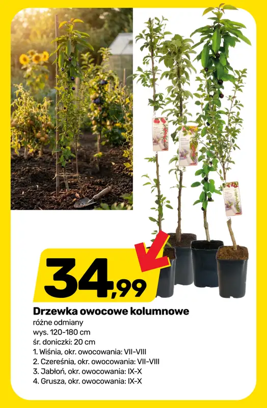 Bricomarche - gazetka promocyjna Klimatyczny OGRÓD od środy 12.08 do soboty 22.08 - strona 7