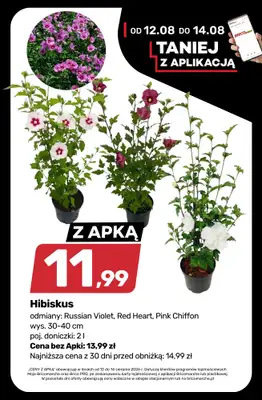 Bricomarche - gazetka promocyjna Klimatyczny OGRÓD od środy 12.08 do soboty 22.08 - strona 3