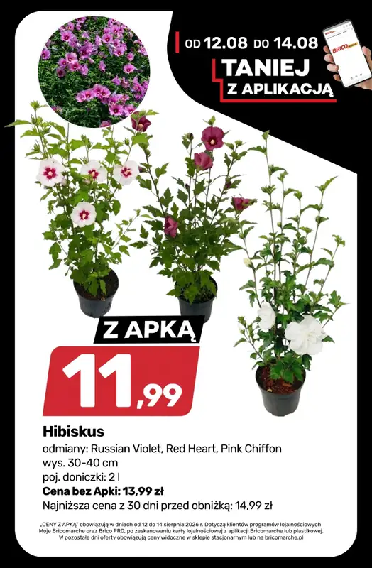 Bricomarche - gazetka promocyjna Klimatyczny OGRÓD od środy 12.08 do soboty 22.08 - strona 3
