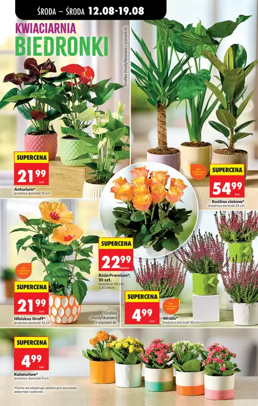 Biedronka - gazetka promocyjna Od środy, Z ladą tradycyjną od środy 12.08 do środy 19.08 - strona 81