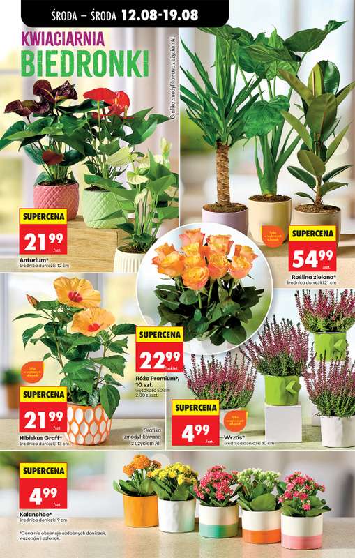 Biedronka - gazetka promocyjna Od środy, Z ladą tradycyjną od środy 12.08 do środy 19.08 - strona 77