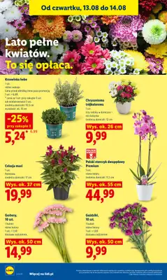 Lidl - gazetka promocyjna Gazetka Ważna Od 12.08 Do 14.08 od środy 12.08 do piątku 14.08 - strona 88