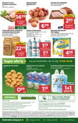 Stokrotka - gazetka promocyjna Gazetka Supermarket od czwartku 13.08 do środy 19.08 - strona 51