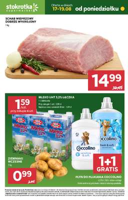 Stokrotka - gazetka promocyjna Hity na start od poniedziałku 17.08 do środy 19.08