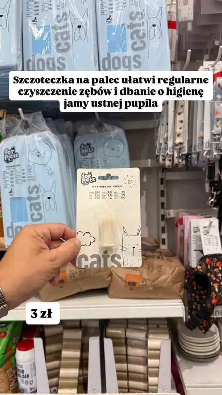 Pepco - gazetka promocyjna Zakupowe Inspiracje w Pepco od czwartku 13.08  - strona 8