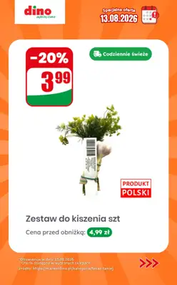 Dino - gazetka promocyjna Specjalna oferta na 13.08.2026 - promocje spoza gazetki od czwartku 13.08 do czwartku 13.08 - strona 10