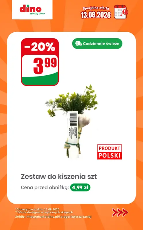 Dino - gazetka promocyjna Specjalna oferta na 13.08.2026 - promocje spoza gazetki od czwartku 13.08 do czwartku 13.08 - strona 10