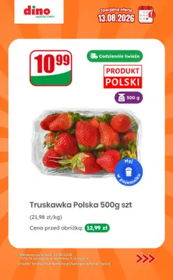 Dino - gazetka promocyjna Specjalna oferta na 13.08.2026 - promocje spoza gazetki od czwartku 13.08 do czwartku 13.08 - strona 4
