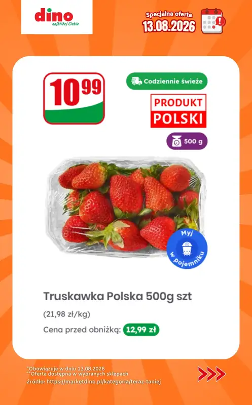 Dino - gazetka promocyjna Specjalna oferta na 13.08.2026 - promocje spoza gazetki od czwartku 13.08 do czwartku 13.08 - strona 4