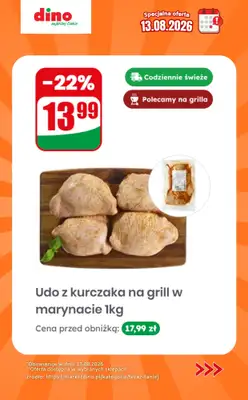 Dino - gazetka promocyjna Specjalna oferta na 13.08.2026 - promocje spoza gazetki od czwartku 13.08 do czwartku 13.08 - strona 3