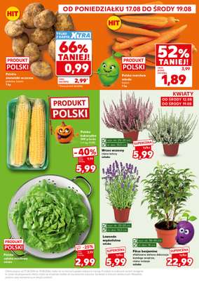 Kaufland - gazetka promocyjna Mocny Start od poniedziałku 17.08 do środy 19.08 - strona 3