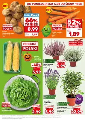 Kaufland - gazetka promocyjna Mocny Start od poniedziałku 17.08 do środy 19.08 - strona 3