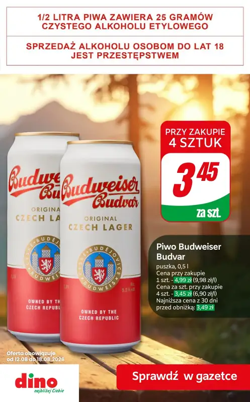 Dino - gazetka promocyjna Super promocje na piwo! od piątku 14.08 do wtorku 18.08 - strona 5