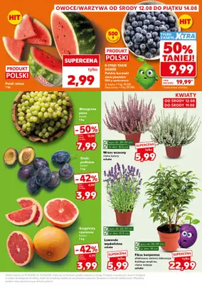 Kaufland - gazetka promocyjna Oferta Kaufland - SUPER PIĄTEK od piątku 14.08 do piątku 14.08 - strona 7
