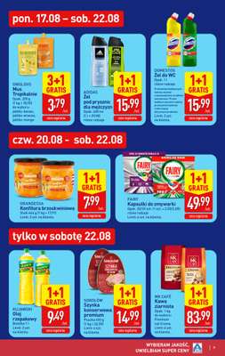 Aldi - gazetka promocyjna Pełny katalog! od poniedziałku 17.08 do soboty 22.08 - strona 9